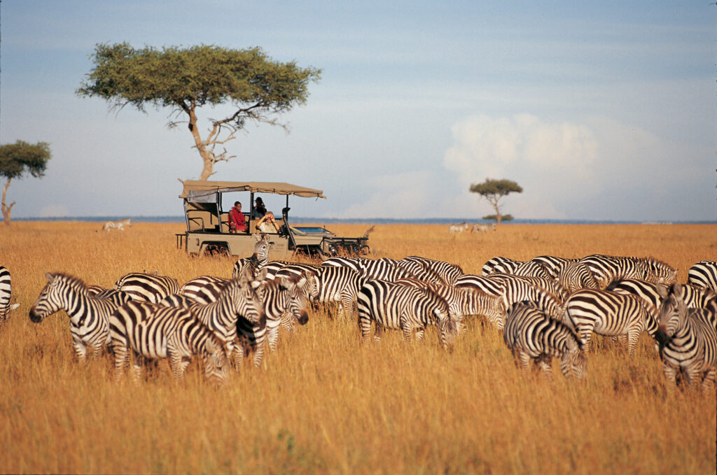 Why Arusha Is the Heart of Northern Tanzania Tourism