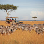Why Arusha Is the Heart of Northern Tanzania Tourism