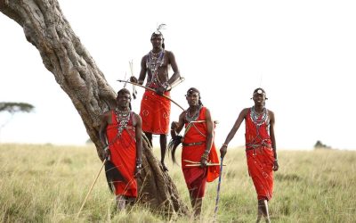 0f3c2a29-4137-4396-80e3-45b754a6a38c