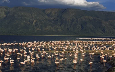 1364905697_0-lake_natron