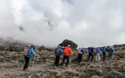 32628835731_2e4e6fc53f_k-1024x683