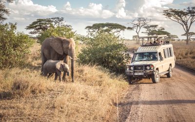 4-Days-Serengeti-Ngorongoro-Wildlife-Safari