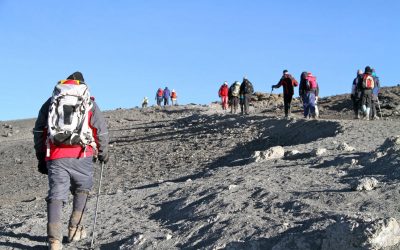 8-Day-Kilimanjaro-Climbing-via-Lemosho-Route