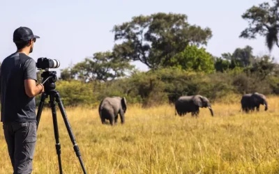 Best African Safari Experiences with I Artist Adventure for 2025