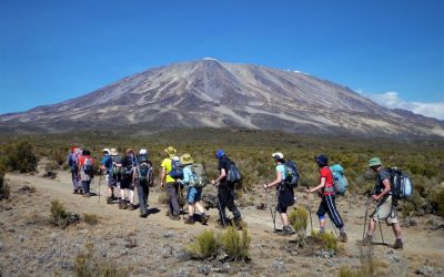 Kilimanjaro-line-of-trekkers-1024x768