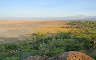 Scenic view of Lake Eyasi Tanzania with acacia trees and Rift Valley hills