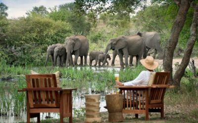 Kruger-SA-Tanda-Tula-Field-Camp-2-3-@tandaTula-800-450-750x420