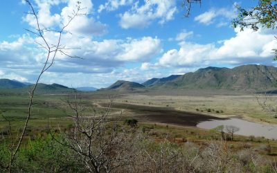 Mkomazi_National_Park_Dindera_Dam_40
