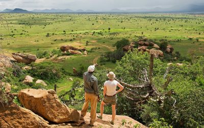 NkcMlcet6Sd1HunNaHBqd0ew7G56XlIpuJO0UozF