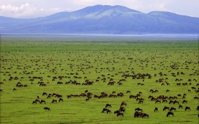 view of Ngorongoro Crater