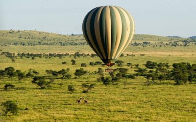 Serengeti_National_Park_102