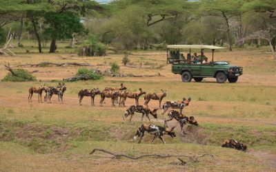 Tansania-Siwandu-Pirschfahrt