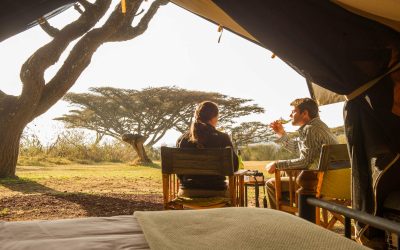 Tanzania Safari, African Safari Tours, Kilimanjaro Climb, Zanzibar Holidays, Serengeti Migration Safari
