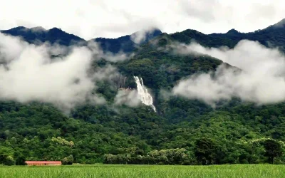 Udzungwa-Mountains-National-Park