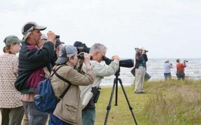 ae7bd492487cfd88a2_DSC_6929