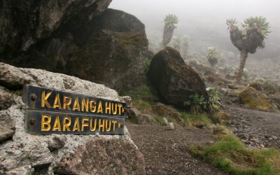 Shira Plateau panoramic view in Kilimanjaro National Park Tanzania