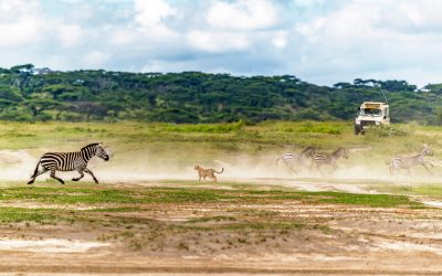 shutterstock_1085384954