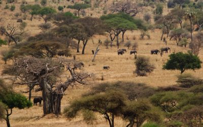 shutterstock_132994649