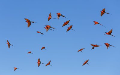 shutterstock_1902921499