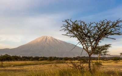 Beautiful,View,Of,The,Meru,Mountain,In,Arusha,,Northern,Tanzania,