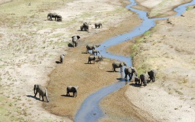 shutterstock_593258048